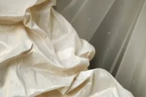 Silk Revolution