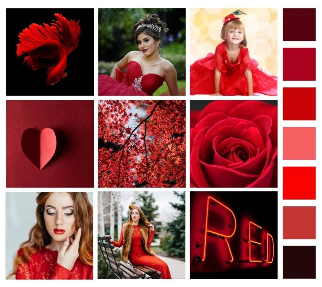 Fall 2023 Fashion Colors