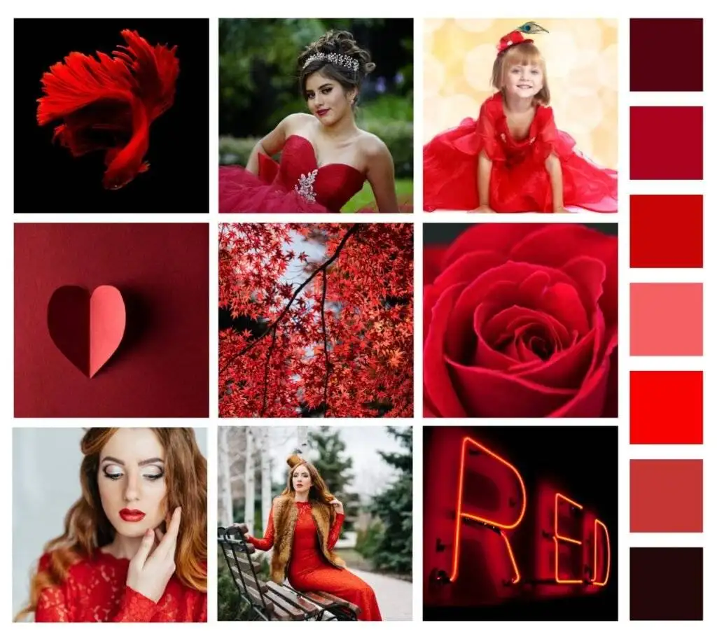 Fall 2023 Fashion Colors