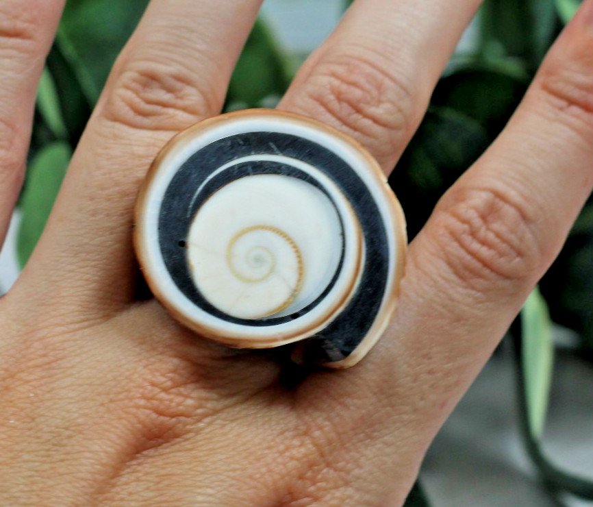 Natural Pacific Cats Eye Seychelles Shell Ring